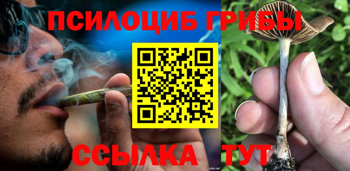 Нурлат  Галлюциногенные грибы мухоморы  Галлюциногенные грибы Psilocybe  Вход с VPN 